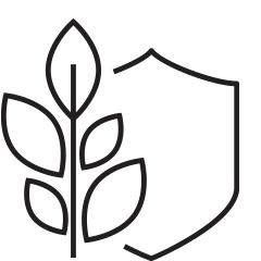 safety and sustainability icon